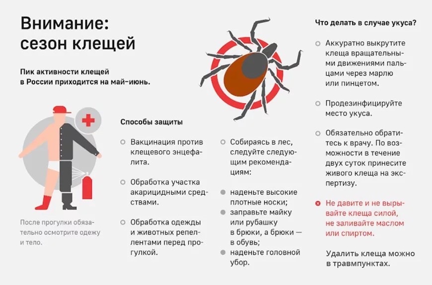 Клещевой энцефалит.